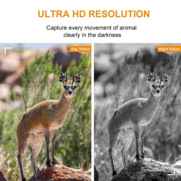 Trail Camera 4G (2K & 14 MP ) - Image 3
