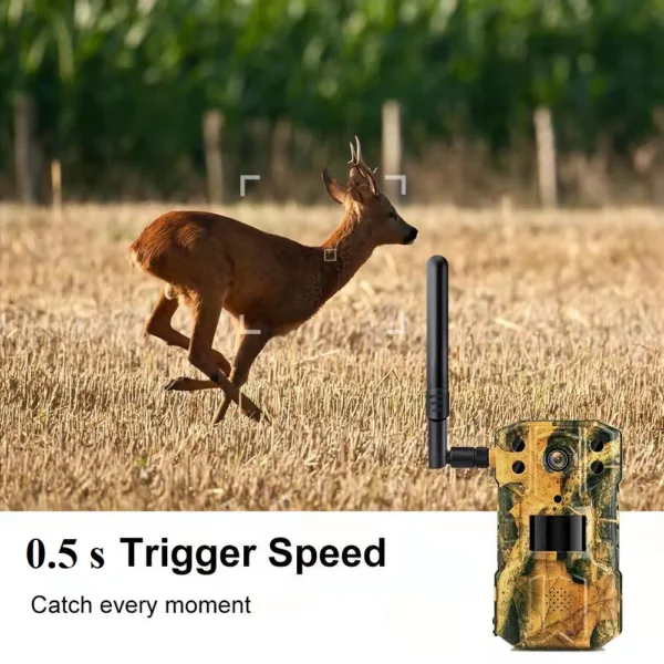 Trail Camera 4G (2K & 14 MP ) - Image 6