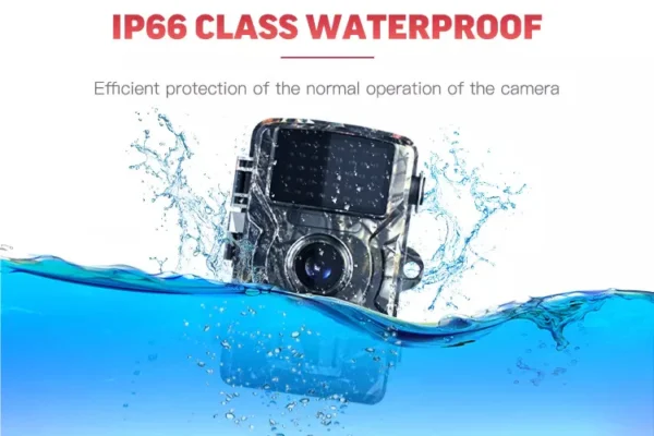 Trail Camera IP66 Waterproof for Wildlife Monitoring - Image 2