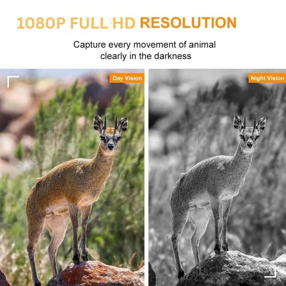 Xenon Flash Trail Camera with 64MP & 1080P Video - Image 4