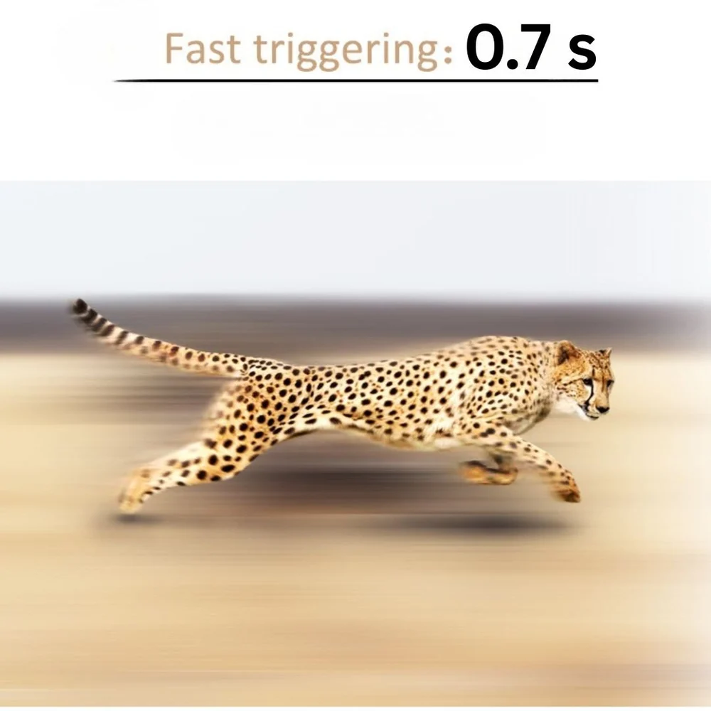 Xenon Flash Trail Camera with 64MP & 1080P Video - Image 2